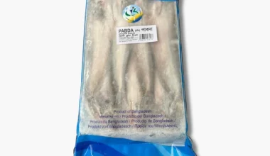 CK Pabda Fish Whole Block (Indian) 500g