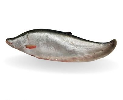 Chital Fish Whole