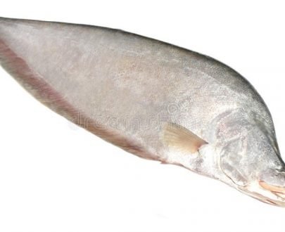 Chital Whole Fish 5-7kg