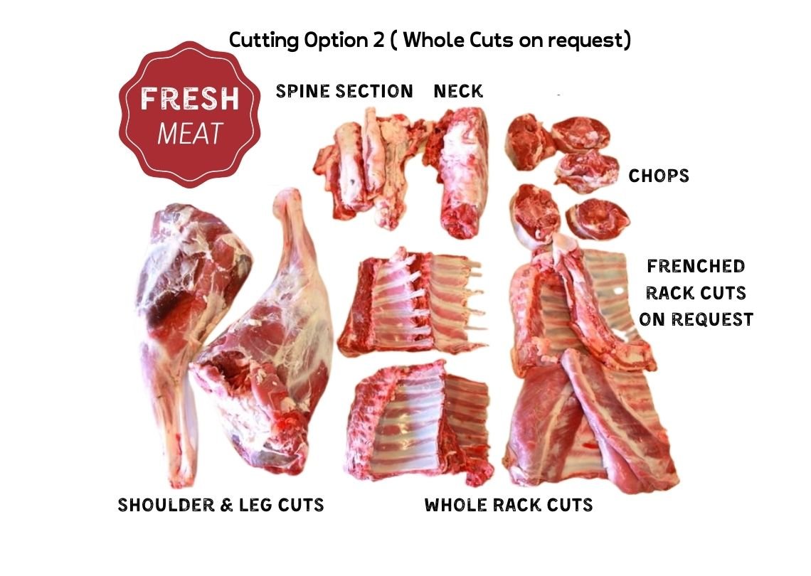 Half Lamb HMC 5 Half Lamb HMC