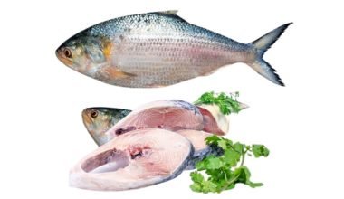 Hilsha Padma (1000-1200g) 