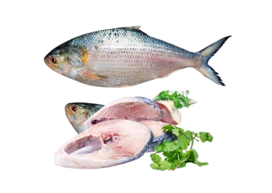 Hilsha Chandpure(800g-1000g) 3 Hilsha Padma (1000-1200g)