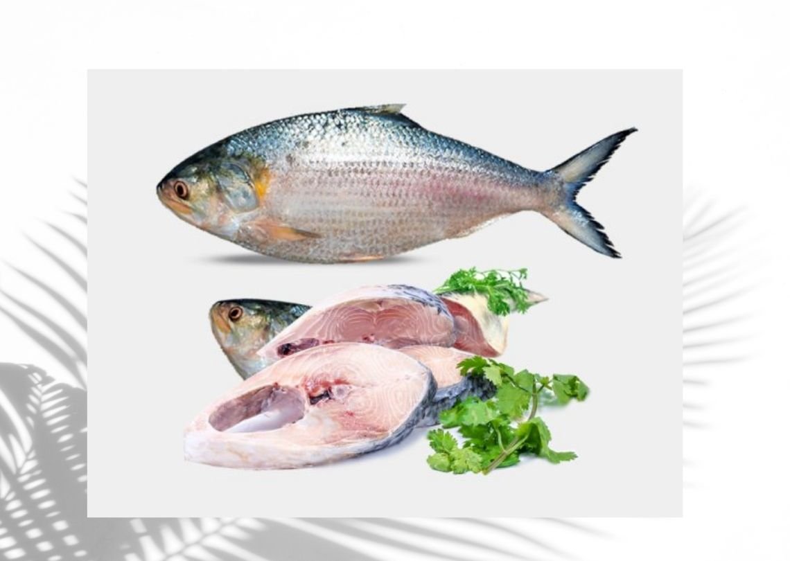 Hilsha Chandpure(800g-1000g) 4 Hilsha Padba