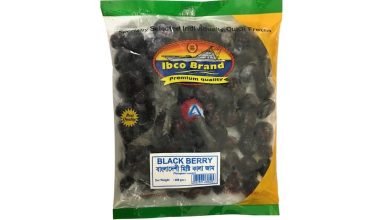 IBCO Black Berry (Black Jamun) 400g