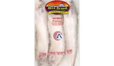 IBCO Pabda Whole Block 500g