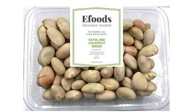 Katol Bisi Jackfruit Seeds