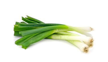 Spring Onion Bunch