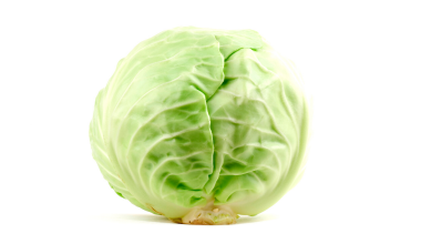 White Cabbage