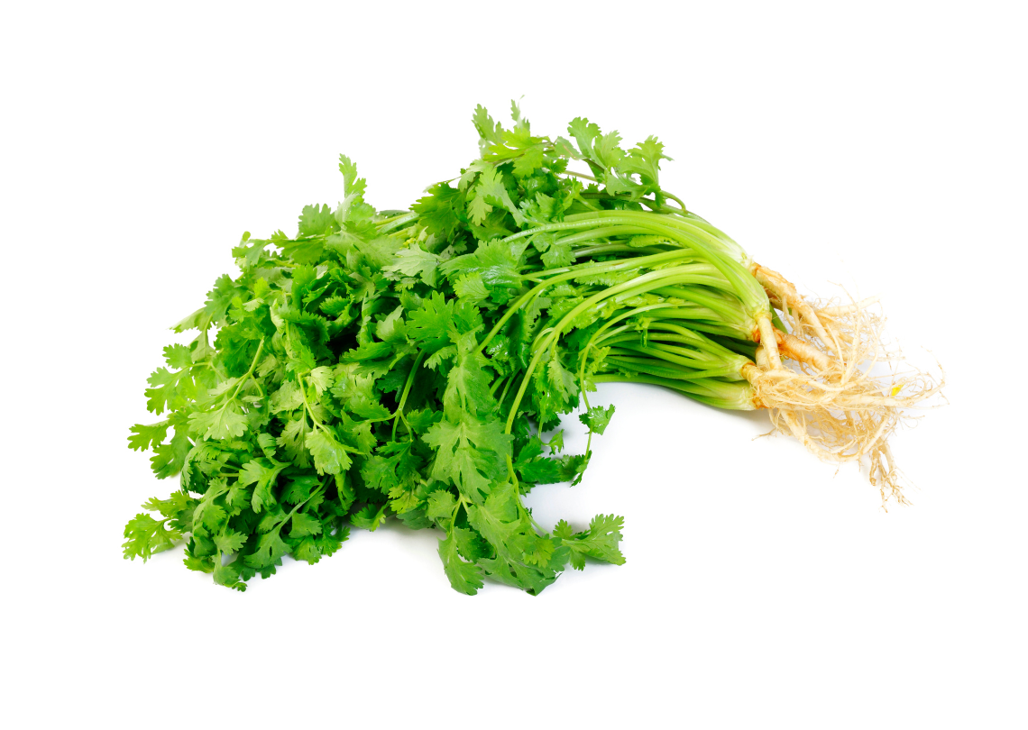 Fresh Coriander 3 Fresh Coriander