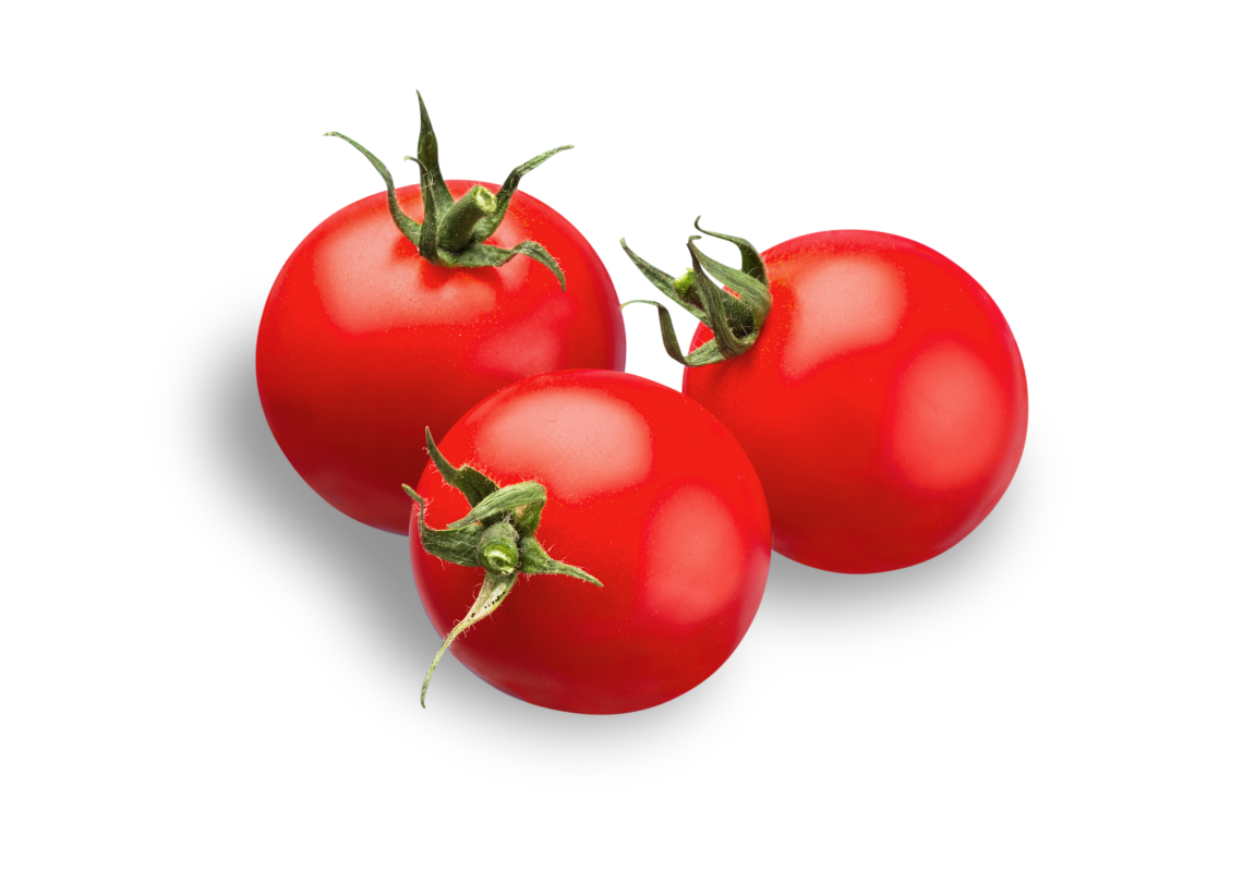 Fresh Tomato 3 Fresh Tomato