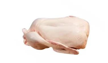 Duck 1.3KG