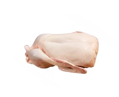 Duck 1.3KG