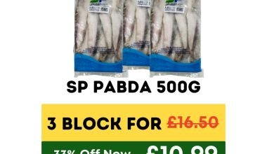 SP Pabda 500G - 3 Block