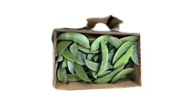 Bangladeshi Uri 1Kg Box