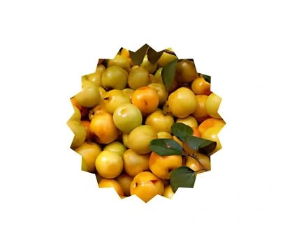 Tenga Boroi Bangladesh