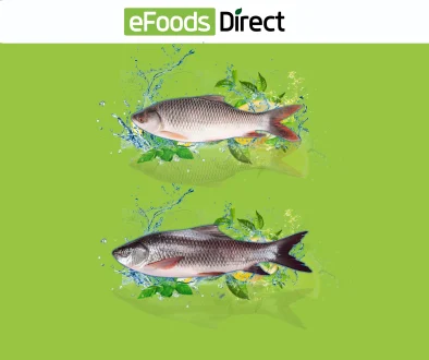 4KG+ Large Fish Deals