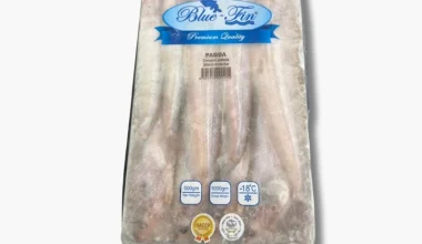 Blue Fin Pabda 500g Block