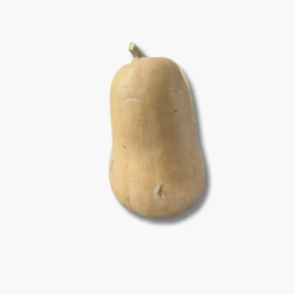 Squash 800-1000g 1 Squash 800-1000g.png1