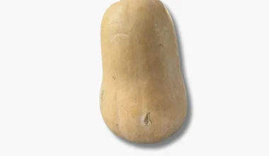 Squash 800-1000g.png1